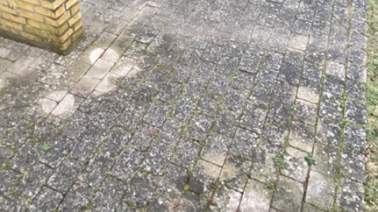 Terrassefliser før fliserens med alger og snavs