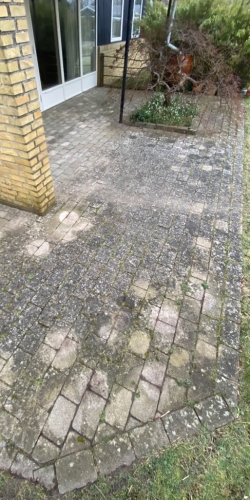 Terrassefliser før fliserens med alger og snavs